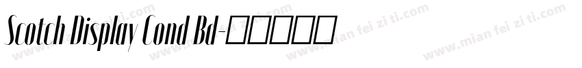 Scotch Display Cond Bd字体转换